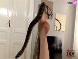 Esta serpiente esta loca por su coño